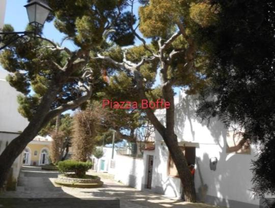 Hotel Dimora Di Donna Rita Anacapri  Exterior foto